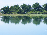 Reflections in water thumbnail
