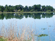 Reflections in water thumbnail