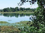 Reflections in water thumbnail