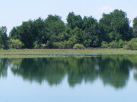 Reflections in water thumbnail