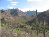 Sabino Canyon