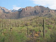 Sabino Canyon thumbnail