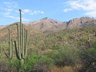 Sabino Canyon thumbnail