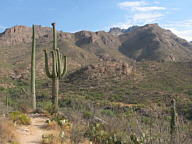 Sabino Canyon thumbnail