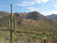 Sabino Canyon thumbnail