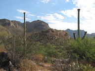 Sabino Canyon thumbnail