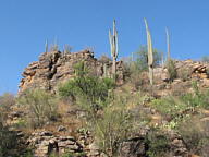 Sabino Canyon thumbnail