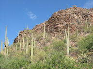 Sabino Canyon thumbnail