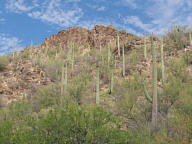 Sabino Canyon thumbnail