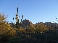 Saguaro National Park photo
