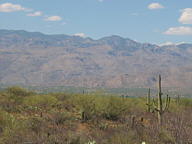Saguaro National Park Rincon thumbnail