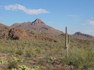 Saguaro National Park Tucson Mountain thumbnail