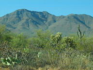 Saguaro National Park Tucson Mountain thumbnail