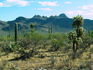 Saguaro National Park Tucson Mountain thumbnail