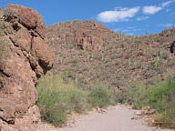 Saguaro National Park Tucson Mountain thumbnail