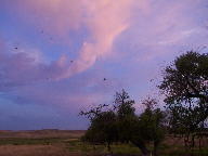 Sunrise and Sunset thumbnail