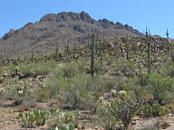 Canyonlands National Park thumbnail
