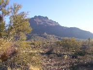 Saguaro photograph from Tucson Mountain Park