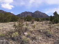 Turquoise Trail Scenic Byway thumbnail