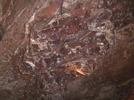 Wind Cave National Park Thumbnail