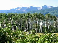 West Elk Loop Scenic Byway thumbnail