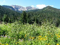 West Elk Loop Scenic Byway thumbnail