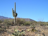 Agua Fria National Monument photo thumbnail