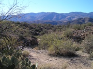 Agua Fria National Monument photo thumbnail