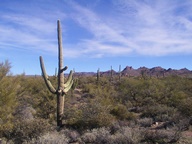 Apache Trail Scenic Byway photo thumbnail