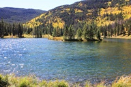 Aspen Groves in Autumn photo thumbnail
