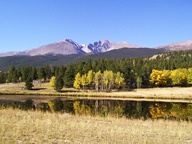 Aspen Trees in Autumn photo thumbnail