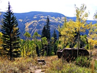 Aspen Trees in Autumn photo thumbnail