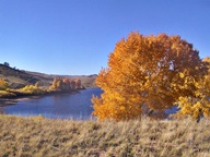 Autumn Leaves photo thumbnail