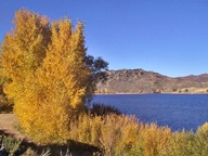 Autumn Leaves photo thumbnail