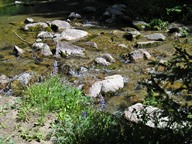 Bucking Mule Falls WY photo thumbnail