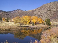 Cache La Poudre Scenic Byway in Autumn photo thumbnail