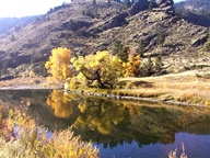Cache La Poudre Scenic Byway in Autumn photo thumbnail