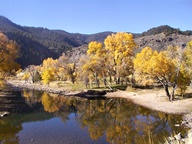 Cache La Poudre Scenic Byway in Autumn photo thumbnail