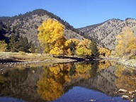 Cache La Poudre Scenic Byway in Autumn photo thumbnail