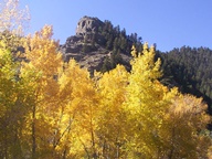 Cache La Poudre Scenic Byway in Autumn photo thumbnail