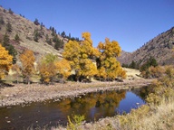 Cache La Poudre Scenic Byway in Autumn photo thumbnail
