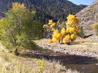 Cache La Poudre Scenic Byway in Autumn photo thumbnail