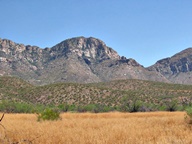Arizona's Catalina State Park photo thumbnail