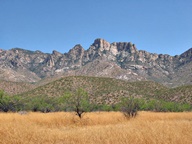 Arizona's Catalina State Park photo thumbnail