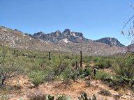 Arizona's Catalina State Park photo thumbnail