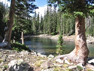 Colorado State Forest State Park photo thumbnail