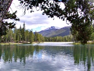 Colorado State Forest State Park photo thumbnail