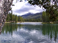 Colorado State Forest State Park photo thumbnail