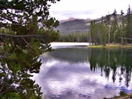 Colorado State Forest State Park photo thumbnail