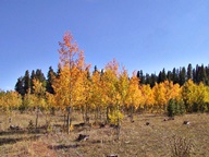 Colorado State Forest State Park photo thumbnail